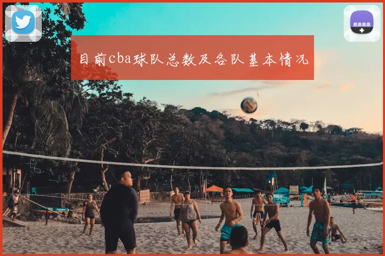 目前cba球队总数及各队基本情况