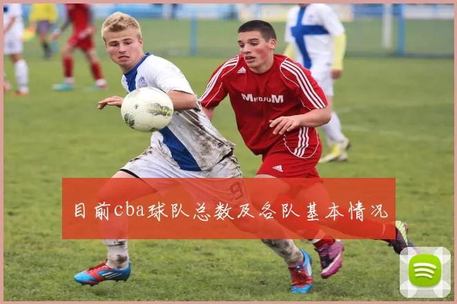 目前cba球队总数及各队基本情况