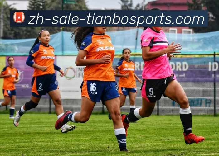 App Interface Preview